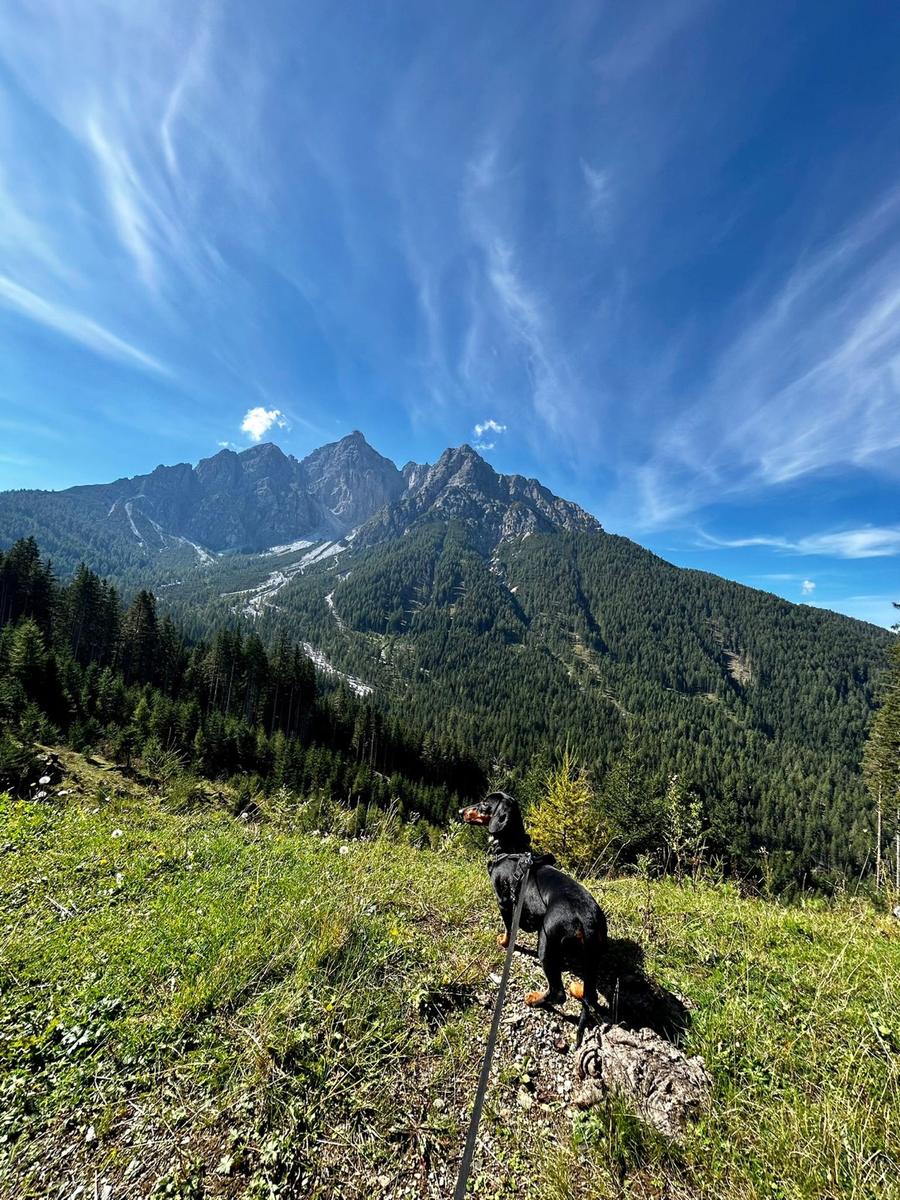 Hundegast Lottilein bei Feierabends im Stubaital