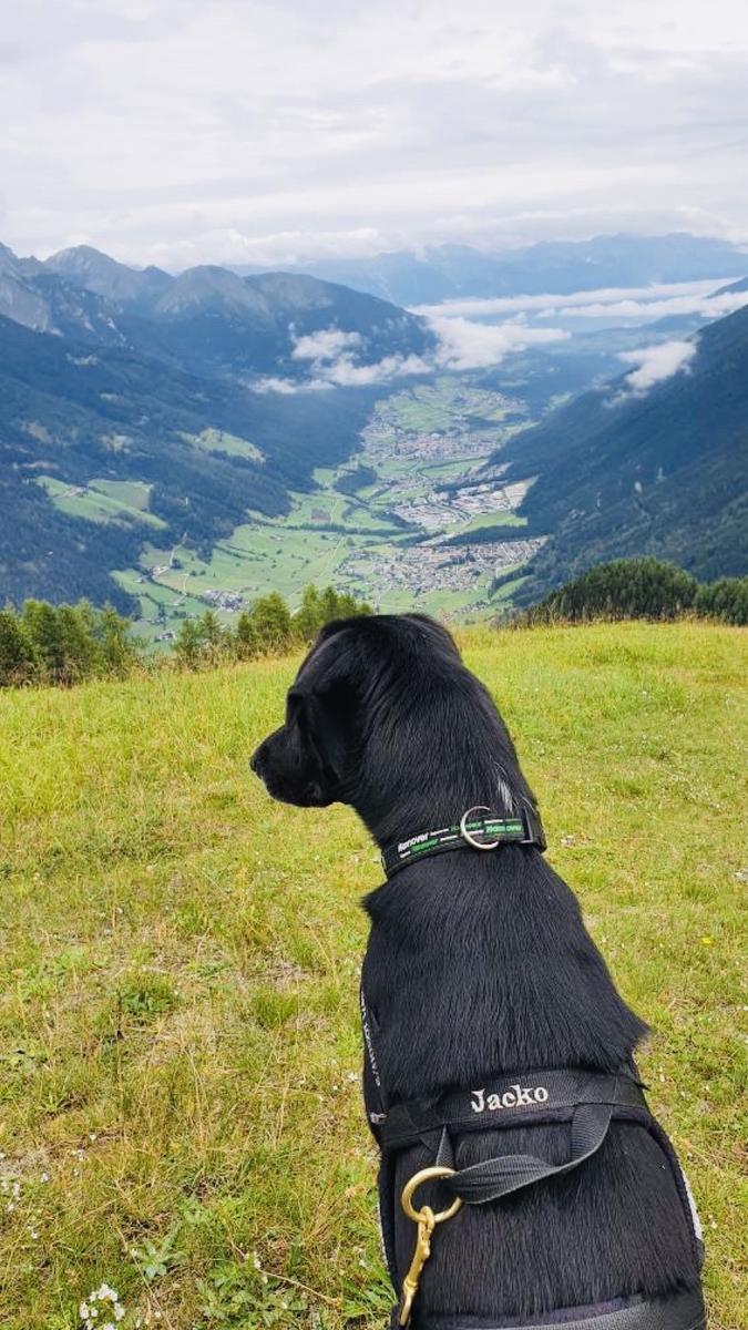 Hundegast Jacko war einer unserer allerersten Hundegäste bei Feierabends im Stubaital